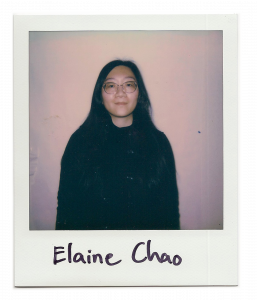 Elaine, artist standing in front of the camera